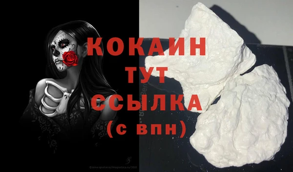 индика Навашино