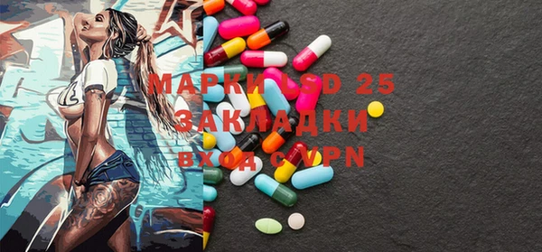 индика Навашино