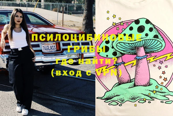ПСИЛОЦИБИНОВЫЕ ГРИБЫ Наволоки