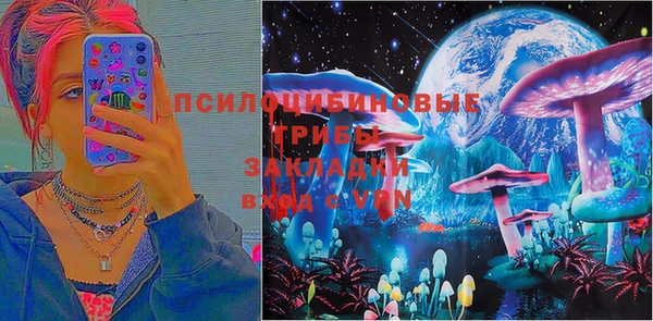 индика Навашино