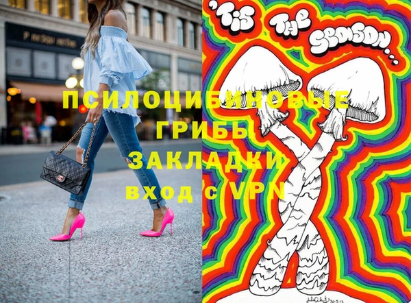 дмт Надым