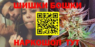 гидропоника Славгород
