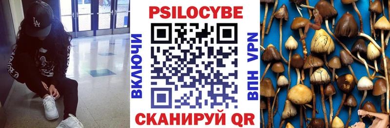 Галлюциногенные грибы Psilocybe  Самара 