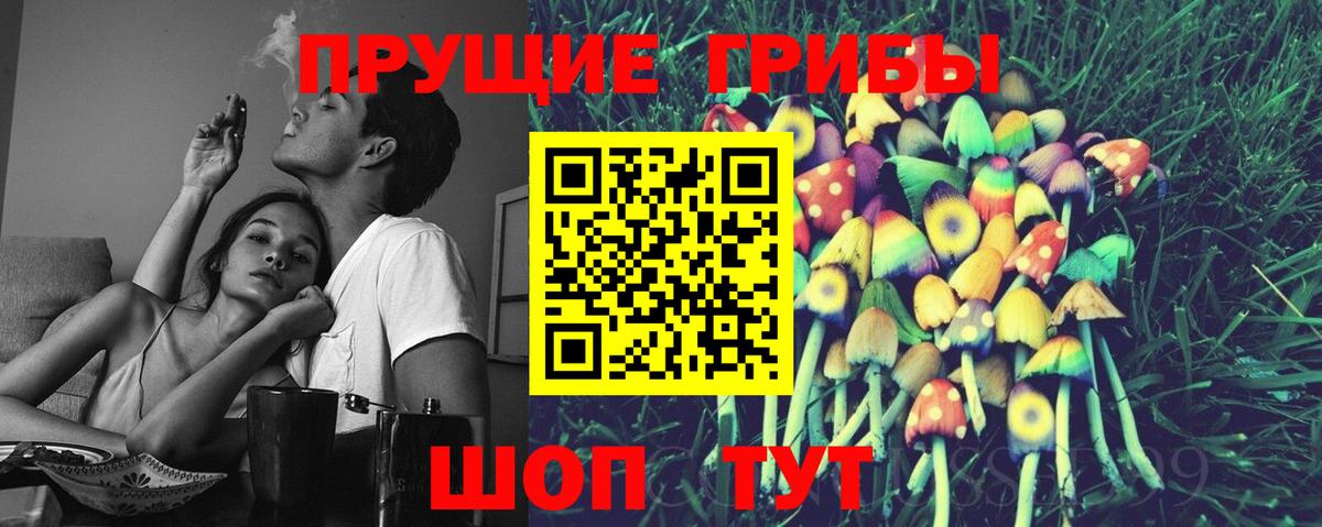 Псилоцибиновые грибы мицелий Самара